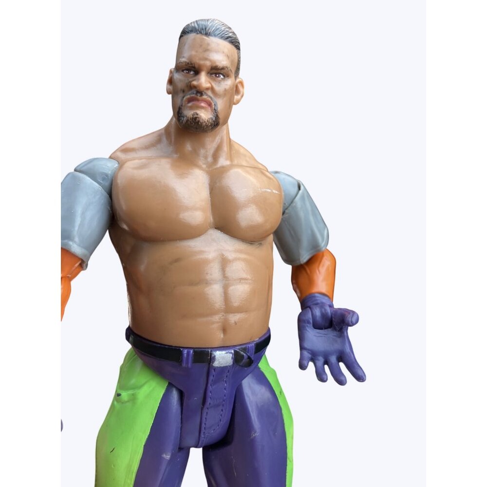 Jackks Pacific WWE Rosie Super Hero Wrestling In Training Action Figure - Picture 2 of 13